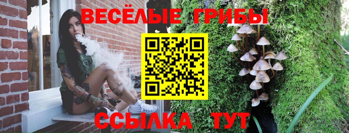 Видное  Псилоцибиновые грибы Psilocybe  где найти наркотики  Вход с VPN 