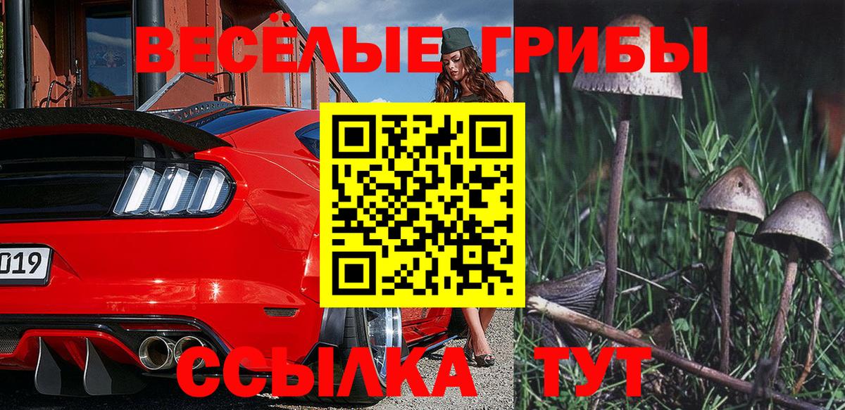 Псилоцибиновые грибы Magic Shrooms Видное
